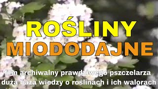 Rośliny miododajne  przegląd oraz dane opowiada pszczelarz film archiwalny pełnometrażowy naukowy [upl. by Summer864]