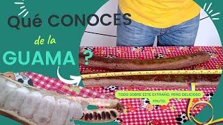 Conoces las propiedades e historias de la guama 🥱😋 [upl. by Aiz]