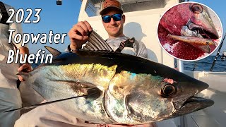 NJ Topwater Bluefin  June 2023 [upl. by Arual]