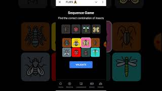 flies sequencegame। 18 October 2024 । Flies Sequence Game [upl. by Fiester997]