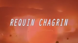 Requin Chagrin RC [upl. by Averill]