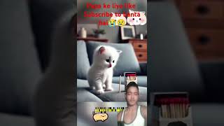 Mummy loved the cat🥺😱catsoftiktok​ cat​ cute​ aiart​ ai​ poorcat​ catlover​ fyp​ [upl. by Levram678]