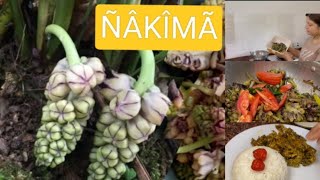 Cheesey NAKIMA recipe in Hindi medicinalplants cheesy vegan trending youtube medicine [upl. by Nosde109]