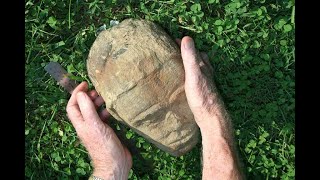 Complete Exceptionally Preserved Creatures of Soft Tissue quotMudfossilquot Discovery Documentary Pt1 [upl. by Zaslow910]