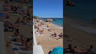 Cannes Beach vs Nice Beach [upl. by Shaper]