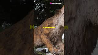 Hyaenodon The Mighty Prehistoric Predator facts wildlife animals [upl. by Roselane]