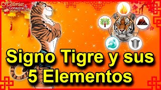 Conoce los 5 Tigres del Zodiaco Chino  Signo Tigre sus Cualidades y Elementos  Año2021 [upl. by Jana]