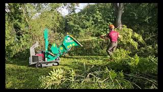 Chipping Ash with a GLampD SUPER Tracked Bio Chipper in Somerset 2023 with the Bearded Climber [upl. by Hollyanne]