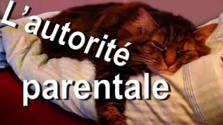 LAUTORITÉ PARENTALE  PAROLE DE CHAT [upl. by Anavlis623]