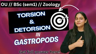 torsion and detorsion in gastropods  osmania University  BSc Zoology sem 1  humera [upl. by Haelat]