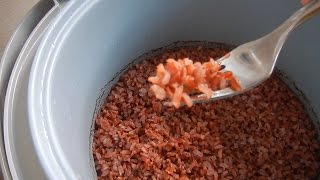 How To Cook Whole Grain Red Rice Organic [upl. by Egroej644]