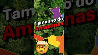 O SURPREENDENTE tamanho do Amazonas amazonia geografia amazonas brasil [upl. by Airad]