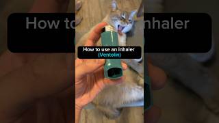 How to use an inhaler Ventolin pharmacist inhaler asthma technique healthandwellness [upl. by Eicyak]