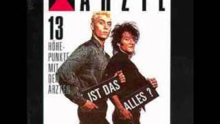 Die Ärzte  Ist Das Alles 1987 Album [upl. by Mini]