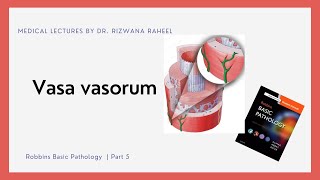 Vasa vasorum  Robbins Basic Pathology  Urdu  Hindi [upl. by Llert68]