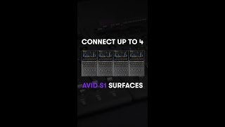 🎵 Connect up to 4 Avid S1 surfaces [upl. by Aduh]