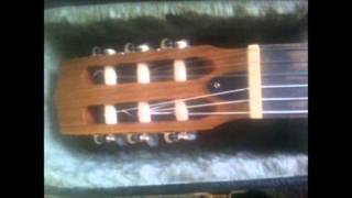 Kamouraska guitar [upl. by Yle]