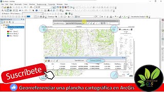 Como georeferenciar un PDF plancha cartográfica en ArcGIS [upl. by Cyna]