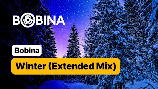 Bobina  Winter Extended Mix [upl. by Borman]