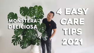 4 Easy Care Tips for Monstera Deliciosa  For the busy or lazy plant parent seasoned refresher [upl. by Marian]