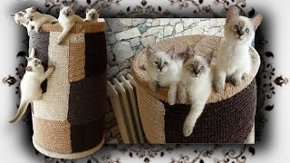 DIY 😻 Kletter Tonne für Katzen  Scratching Barrel Condo for Cats [upl. by Adaran]