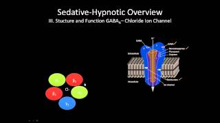 The GABA receptor  How does it work [upl. by Mroz542]