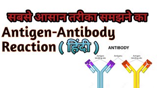 AntigenAntibody Reaction in  हिंदी Essy Way To Explain [upl. by Suravaj]