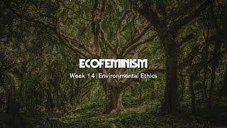 Environmental Ethics  Plumwoods Ecofeminism [upl. by Anyala]