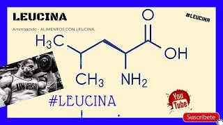 LEUCINA AMINOÁCIDO  ¿Qué es la leucina Leucina 😱😱 [upl. by Fu]