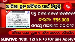 Odisha Block Fellow Officer Recruitment 2024  Block Level Govt Jobs in Odisha  Salary Upto 55000 [upl. by Alur]