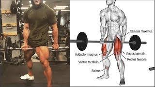 Rutina de Piernas 6 Ejercicios Legs Routine 6 Exercises [upl. by Olegnalehcim]