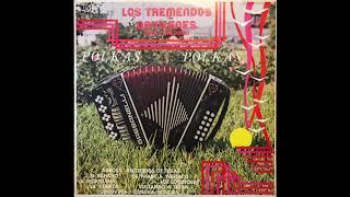 Los Tremendos Gavilanes Juan y Salomon Polkas Polkas Album Disco Completo [upl. by Aligna764]