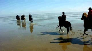 Reiten am Nordseestrand mit PFERD amp REITER [upl. by Kelly]