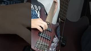 Cinco linhas de Baixo que são top demais 🎸🔥contrabaixo musica linhasdebaixo bass [upl. by Ytisahcal899]