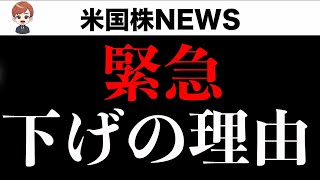 【午前2時超緊急】大型株と半導体の暴落理由解説。GOOG好決算でもなぜ下落？7月25日 PAN米国株 [upl. by Neltiac]