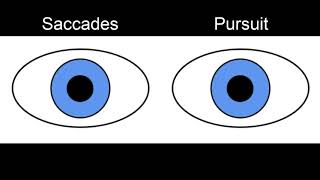 RS Supranuclear Ocular Motor Pathways Part 1  Horizontal Saccades [upl. by Rhpotsirhc]