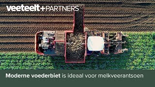 Moderne voederbiet is ideaal voor melkveerantsoen [upl. by Wynny769]