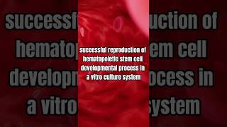 Breakthrough in Regenerative Medicine Reproducing Hematopoietic Stem Cells [upl. by Esojnauj]