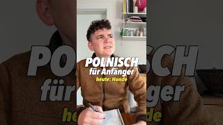 🇵🇱 Auf den Hund gekommen 🇩🇪 deutschpolnisch comedy sprachenlernen polen funny [upl. by Klemperer]