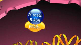 Mechanism of Action of Aminosalicylates [upl. by Elrak]