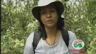 Curso de herpetologia en la uniamazonia [upl. by Kisung]