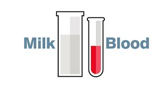 What is SampleBased Bovine Pregnancy Testing [upl. by Mei]