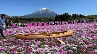 Different Angle view of Fuji San Golden Week Tour Housewife daily life Japan vlog youtubevideos [upl. by Ardnasella174]