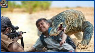 How do Rincas hunters hunt millions of komodo dragons  Hog Hunting [upl. by Parker755]