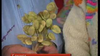 How To Make Dried Flower Arrangements [upl. by Lagiba]