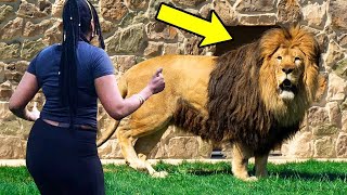 Lion Reunites With Caretaker After 8 Years Just Watch His SHOCKING Reaction 🦁 [upl. by Latrena]