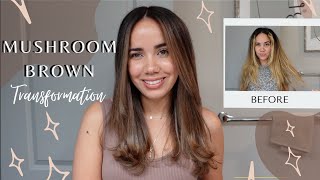 Mushroom Brown Hair Transformation Using Toner  Blonde to Ashy Brown Color  DIY Haircut amp Color [upl. by Mayda]