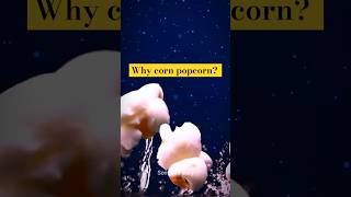 Popcorn कैसे बनते हैं shorts [upl. by Marla]