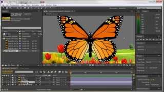 Animating a Butterfly using After Effects [upl. by Haidabo]