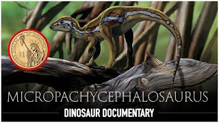 Micropachycephalosaurus One of The SMALLEST Dinosaurs to Ever Walk The Earth  Documentary [upl. by Nomannic]